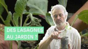 Des lasagnes au jardin ?