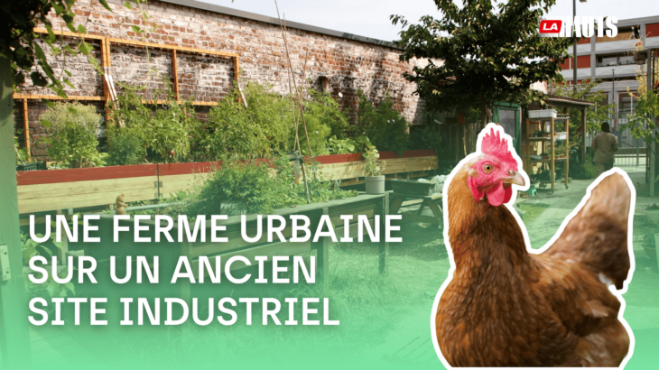 Une ferme dans la ville