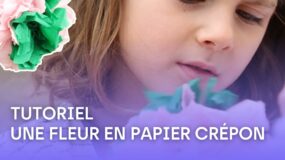 Tutoriel : réaliser une fleur en papier crépon