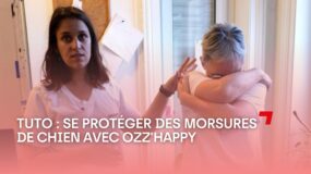 Un tuto pour se protéger des morsures de chien