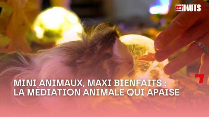 Ozz’Happy : la médiation animale au service des troubles psychiatriques