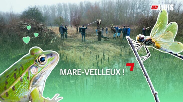 Un projet mare-veilleux