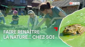 Biodiversité : ça commence dans nos jardins