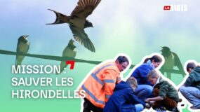 Participer à la préservation de la biodiversité !