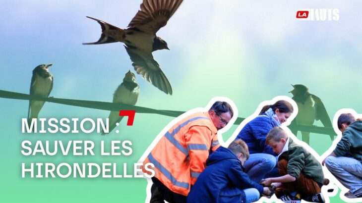 Participer à la préservation de la biodiversité !