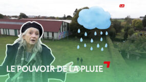 Jardin de pluie : comment ça fonctionne ?