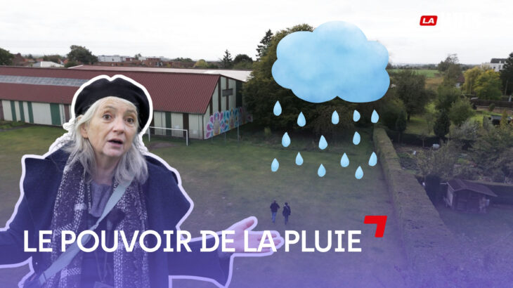 Jardin de pluie : comment ça fonctionne ?
