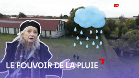 Jardin de pluie : comment ça fonctionne ?
